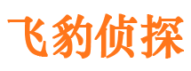 沙坪坝出轨调查